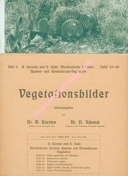 1. Aufl., Jena 1903. 12 S., 6 s/w. Abb., Mapp., 24 x 31 cm, 210 g, (3) Umschl. rep., Blätter im Randbereich lichtgebräunt
